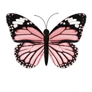 Meet your Posher, Monica